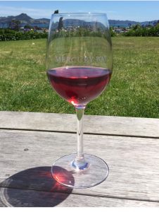 A glass of wine looking over the grapes pf Mercury Bay Vineyard while having lunch.