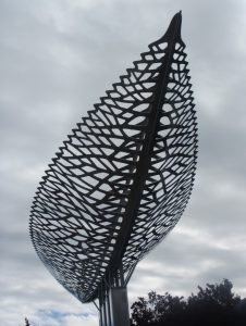 Silver Fern Art in Queenstown