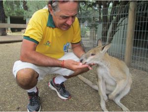 Rocky feeding a Wallaby at Featherdale Wildlife Park