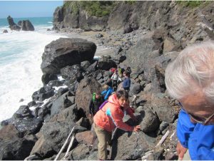 Hike along Coast to Seal Colony near Lake Moeraki