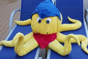 “Octopus” towel art on board the Splendor