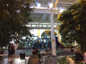 Inside the Plus-15 at Devonian Gardens