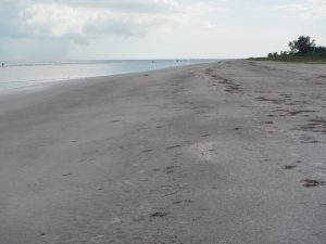 A look northwest along Bowman’s where few people visit.