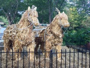 Cornstalk horses.